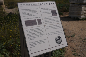 P1000600.png